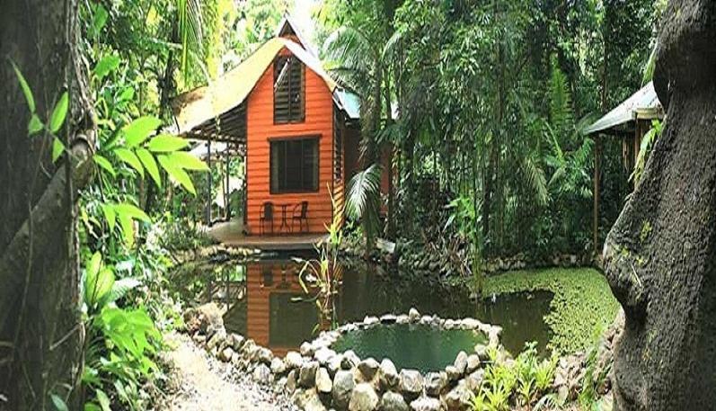 Rainforest Hideaway Cape Tribulation Zimmer foto